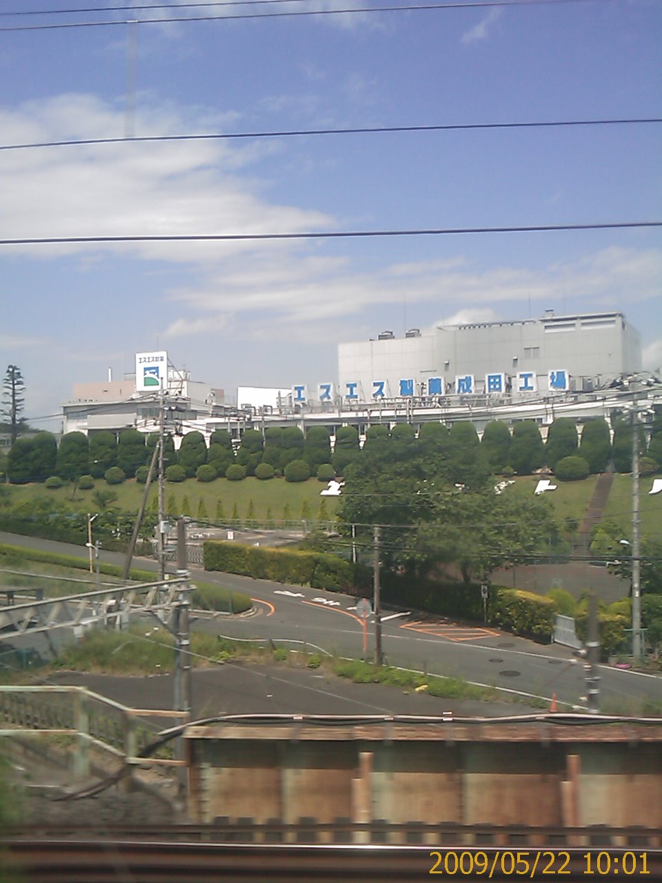 Toothpick factory